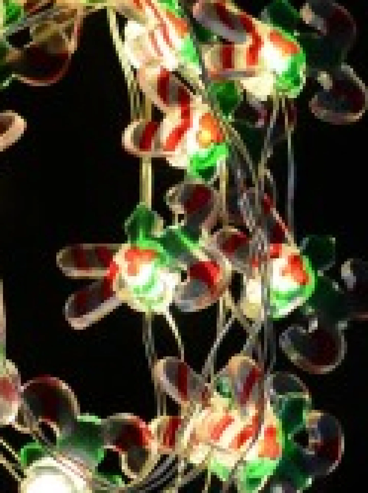 Cheap Christmas Warehouse 20 Candy Canes With Warm White Led Bulb Christmas String Battery Lights - 2M