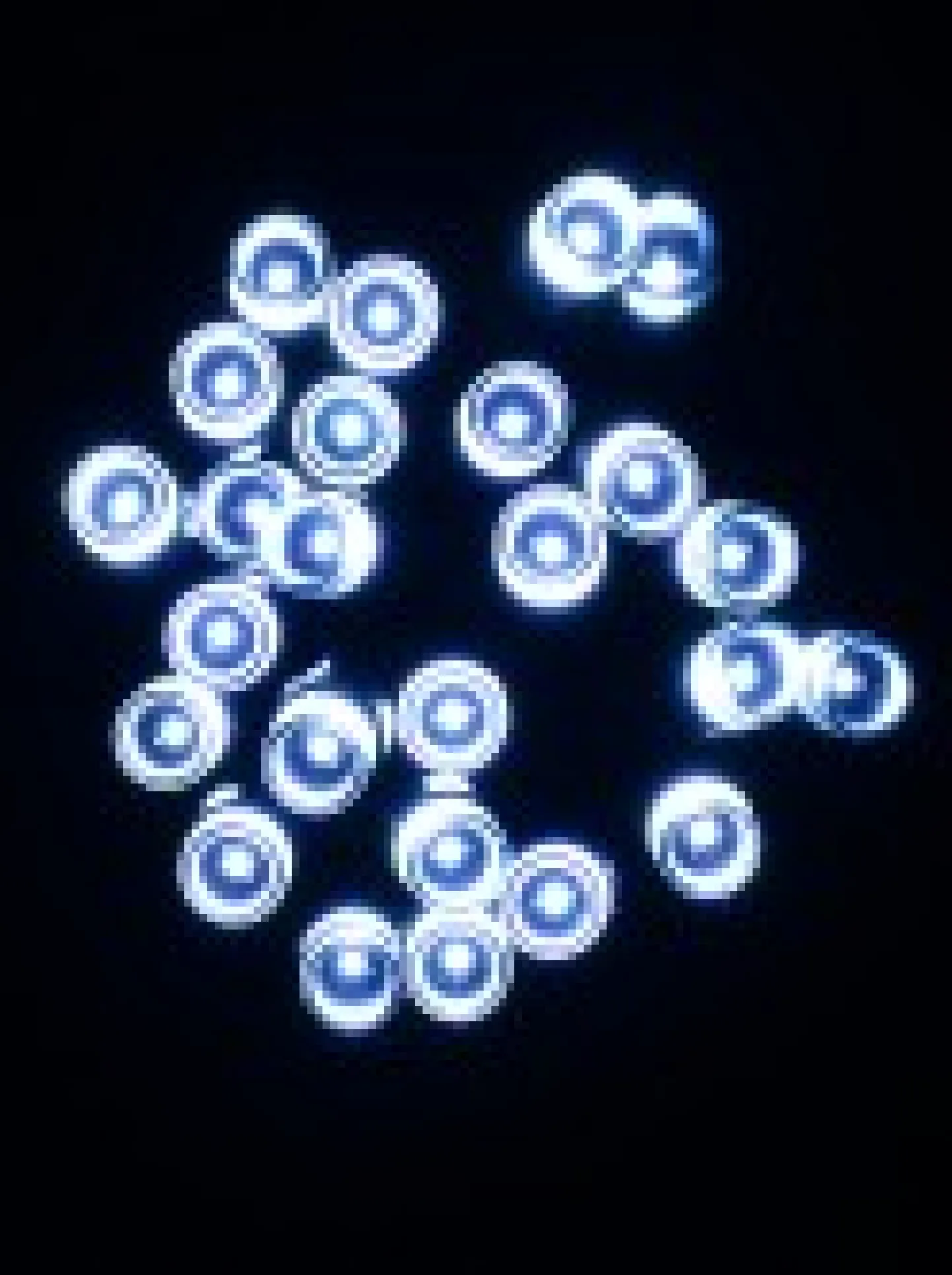 Shop Christmas Warehouse 1000 Cool White Concave Bulb Led Christmas Fairy String Lights - 50M