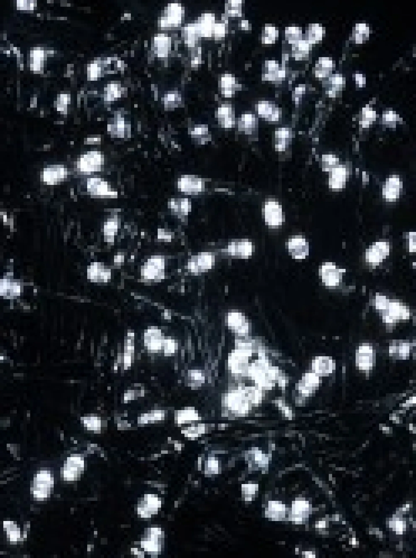 Flash Sale Christmas Warehouse 500 Cool White Led Concave Bulb Christmas Fairy String Lights - 25M