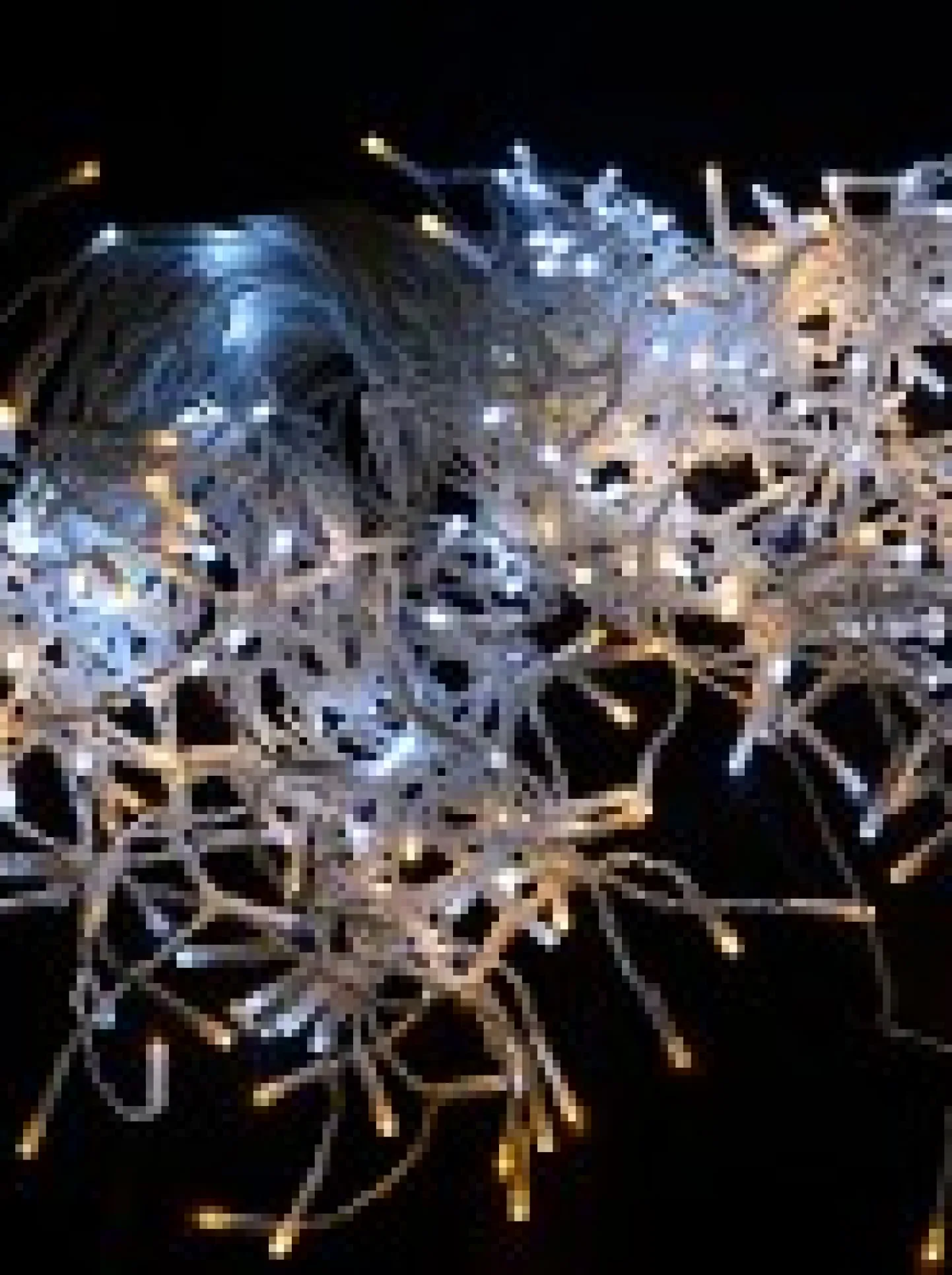 Hot Christmas Warehouse 420 Warm & Cool White Concave Bulb Led Christmas Icicle String Light - 10M