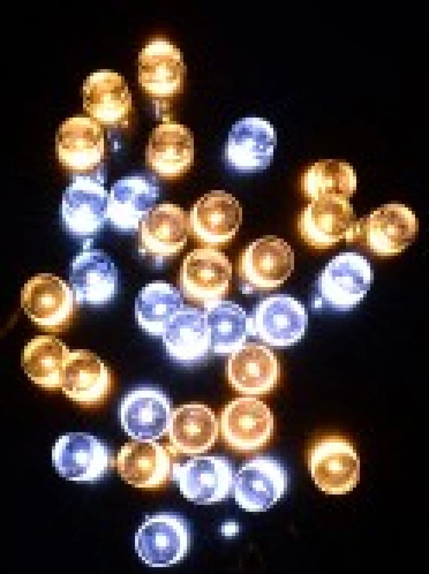 Outlet Christmas Warehouse 300 Warm & Cool White Led Concave Bulb Christmas Fairy String Lights - 15M