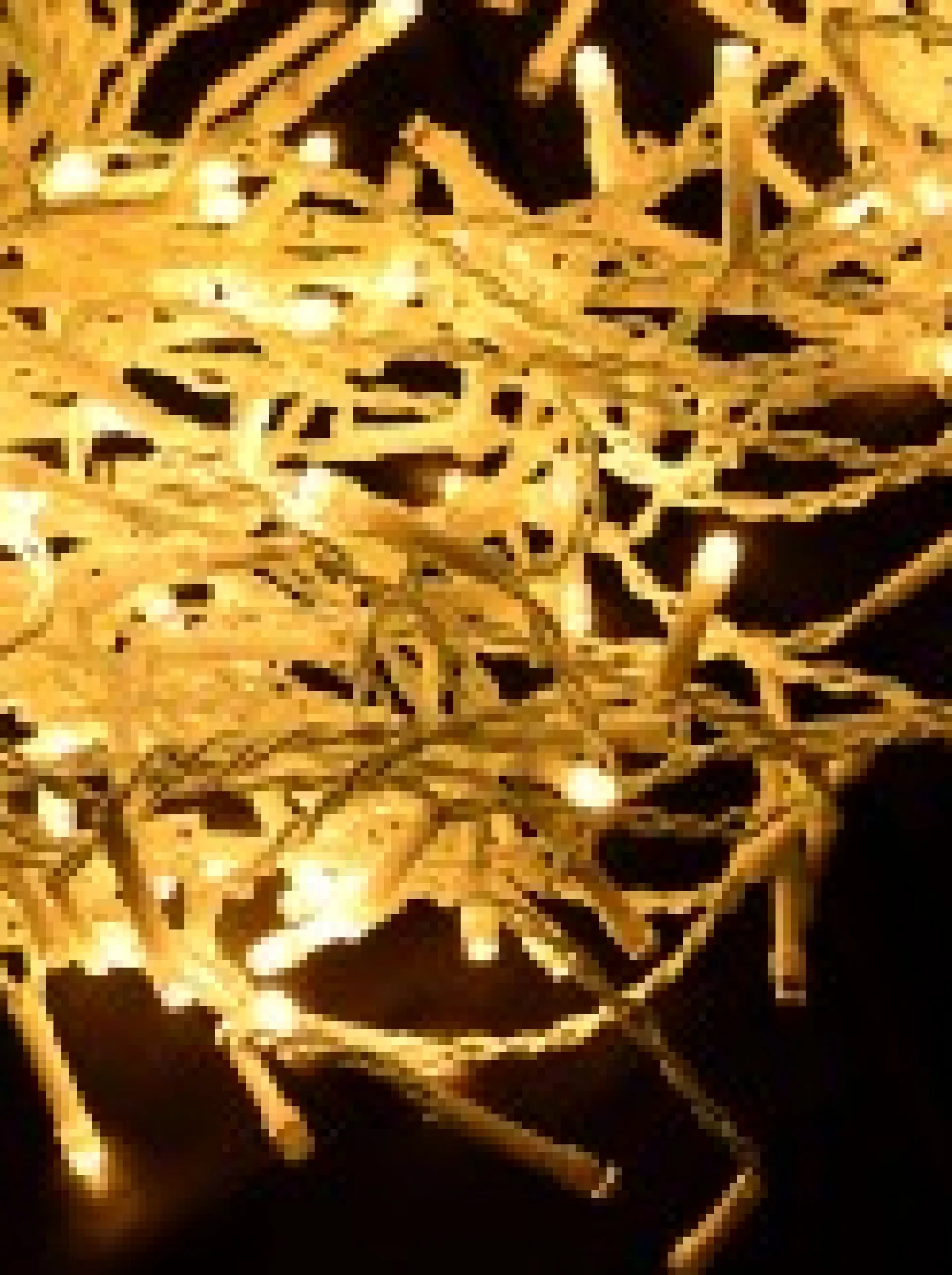 Shop Christmas Warehouse 420 Warm White Concave Bulb Led Christmas Icicle String Light - 10M