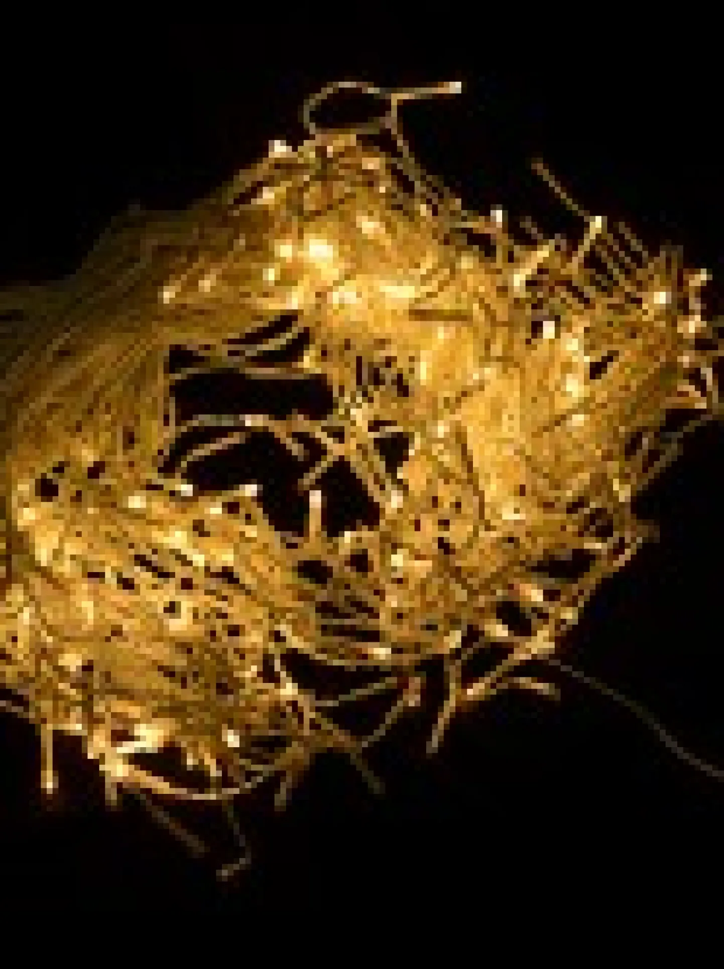 Shop Christmas Warehouse 420 Warm White Concave Bulb Led Christmas Icicle String Light - 10M