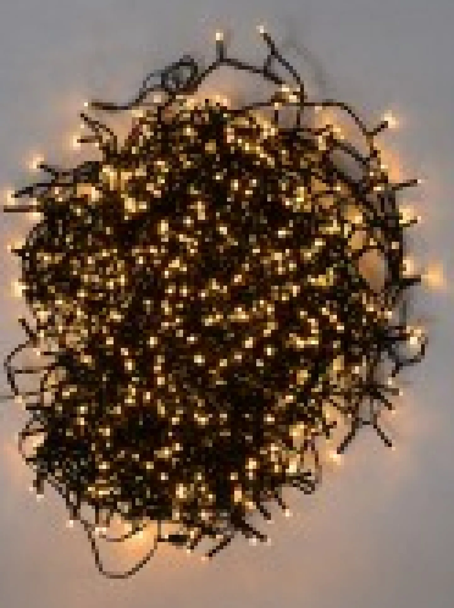 Outlet Christmas Warehouse 1000 Warm White Led Concave Bulb Wifi Christmas Fairy String Lights - 50M