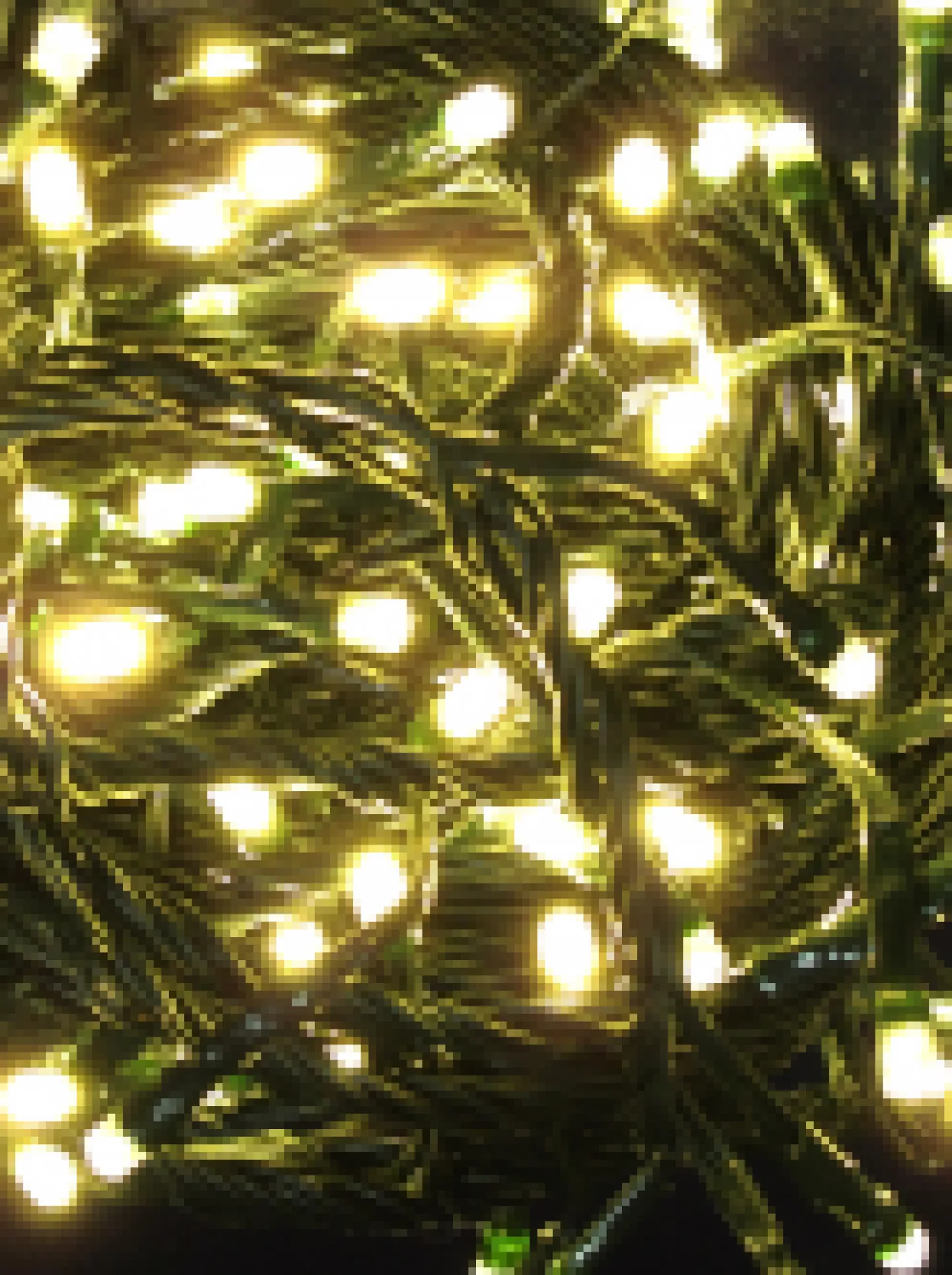Fashion Christmas Warehouse 500 Warm White Led Concave Bulb Christmas Fairy String Lights - 25M