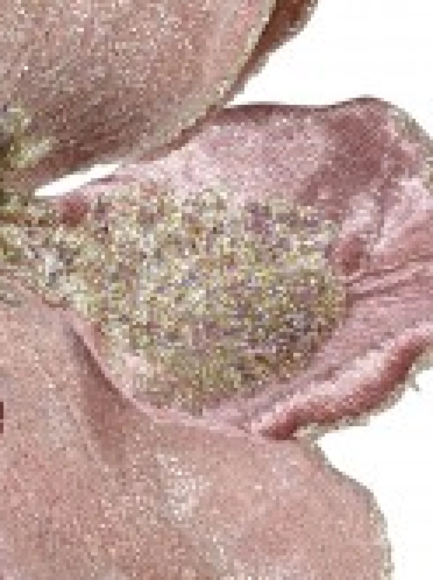 Flash Sale Christmas Warehouse Dusty Rose & Champagne Glitter Magnolia Christmas Flower Pick - 22Cm