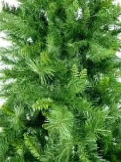 Shop Christmas Warehouse Eastern Pine Traditional Christmas Tree With 717 Tips - 1.8M