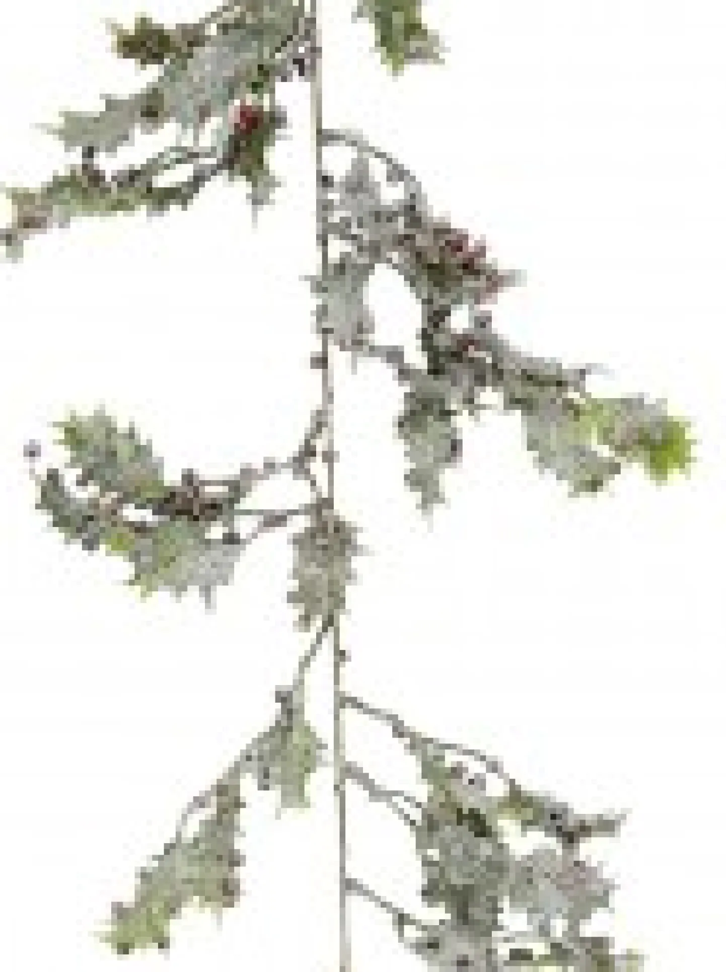 Cheap Christmas Warehouse Frosted Christmas Holly Leaves & Berries Vine Christmas Garland - 1.8M