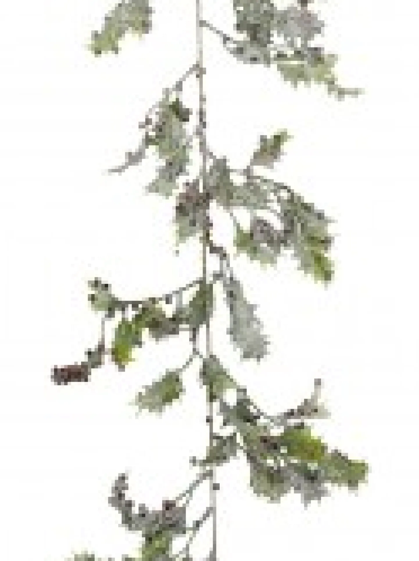 Cheap Christmas Warehouse Frosted Christmas Holly Leaves & Berries Vine Christmas Garland - 1.8M