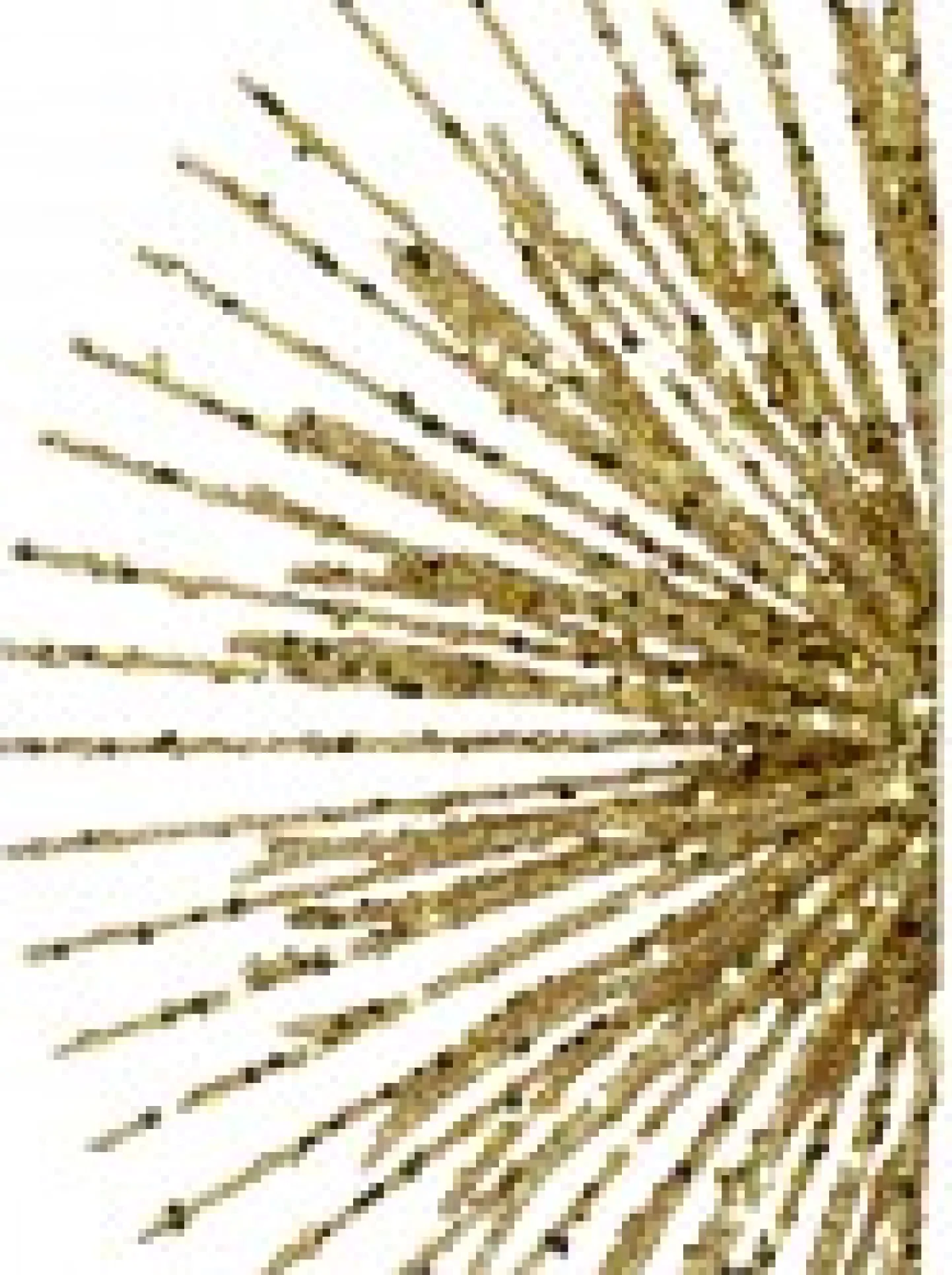 Flash Sale Christmas Warehouse Glittered Gold Starburst Christmas Tree Topper Decoration - 38Cm