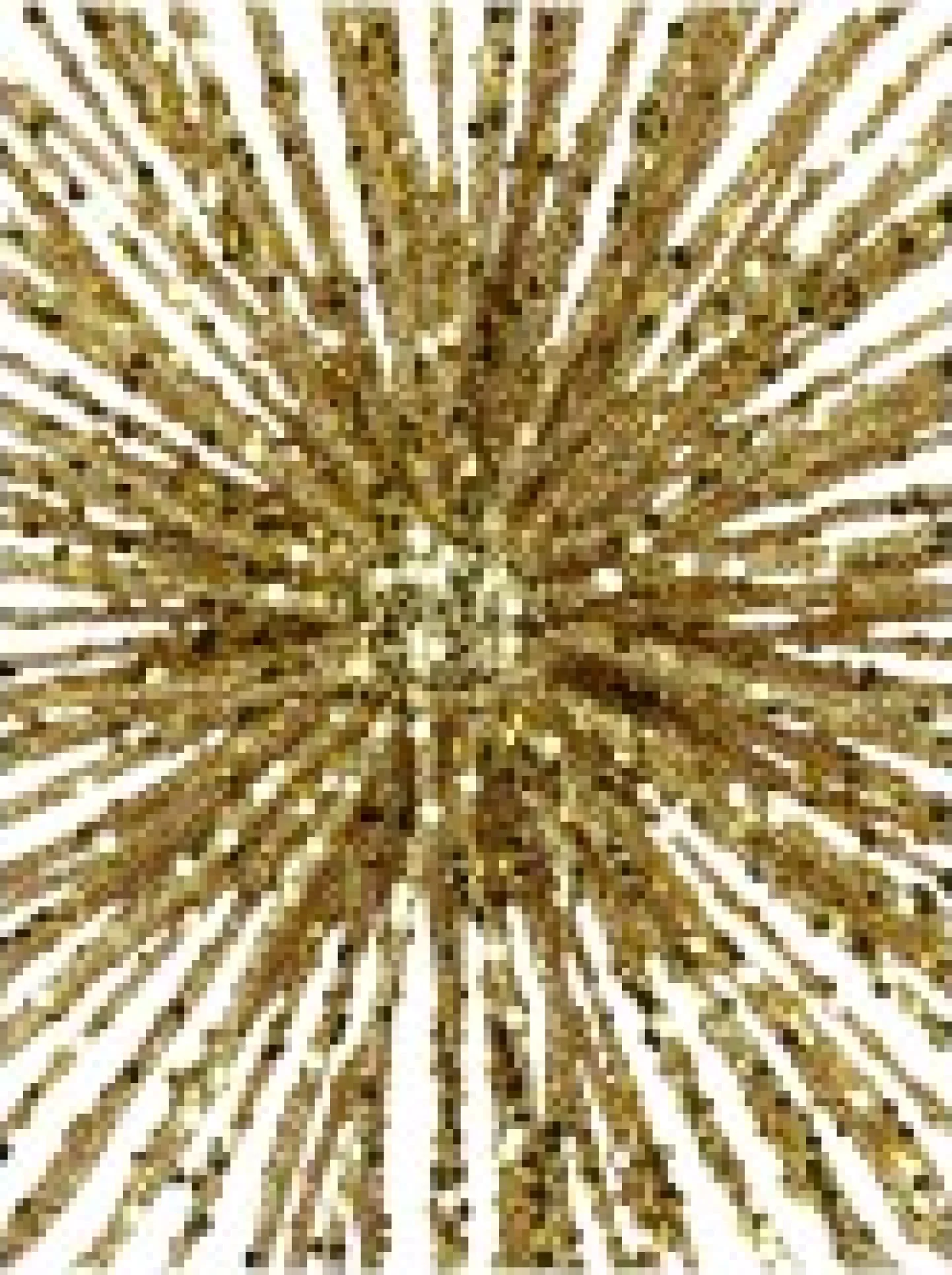 Flash Sale Christmas Warehouse Glittered Gold Starburst Christmas Tree Topper Decoration - 38Cm