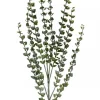 Hot Christmas Warehouse Green Baby Blue Eucalyptus Leaves Decorative Christmas Spray Stem - 80Cm