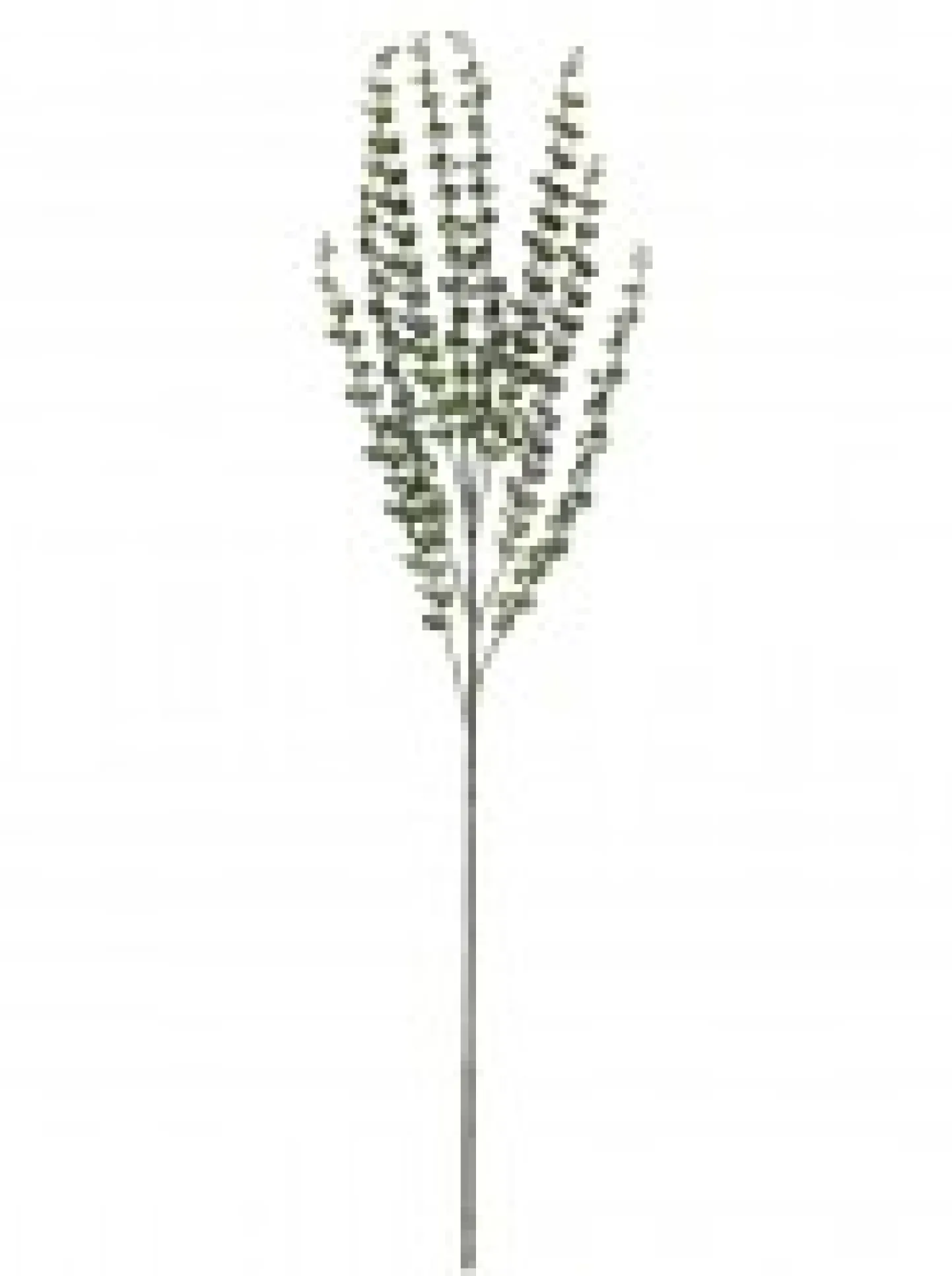 Hot Christmas Warehouse Green Baby Blue Eucalyptus Leaves Decorative Christmas Spray Stem - 80Cm