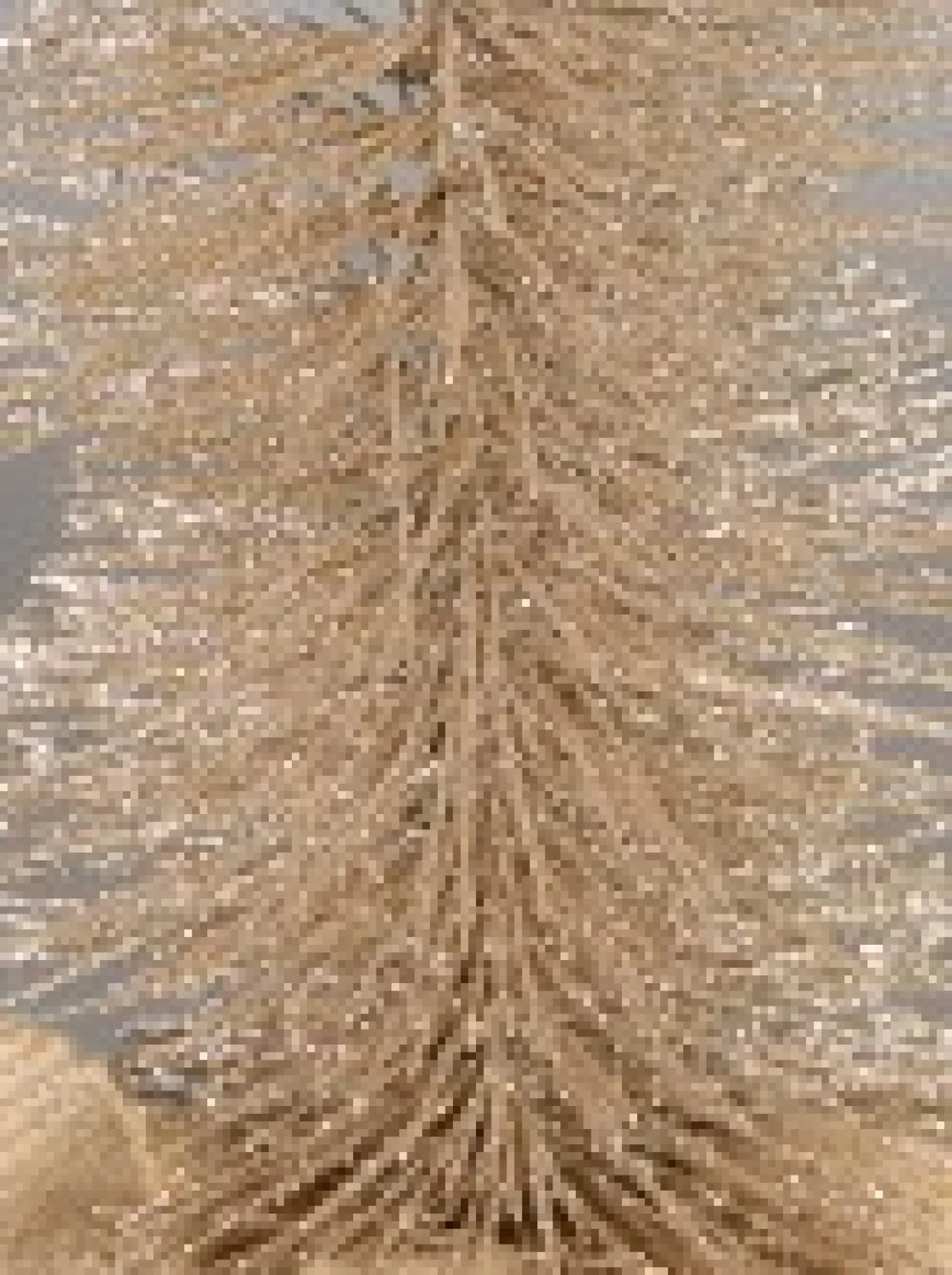 Sale Christmas Warehouse Large Glittered Champagne Spiral Pine Needle Christmas Table Top Tree - 30Cm