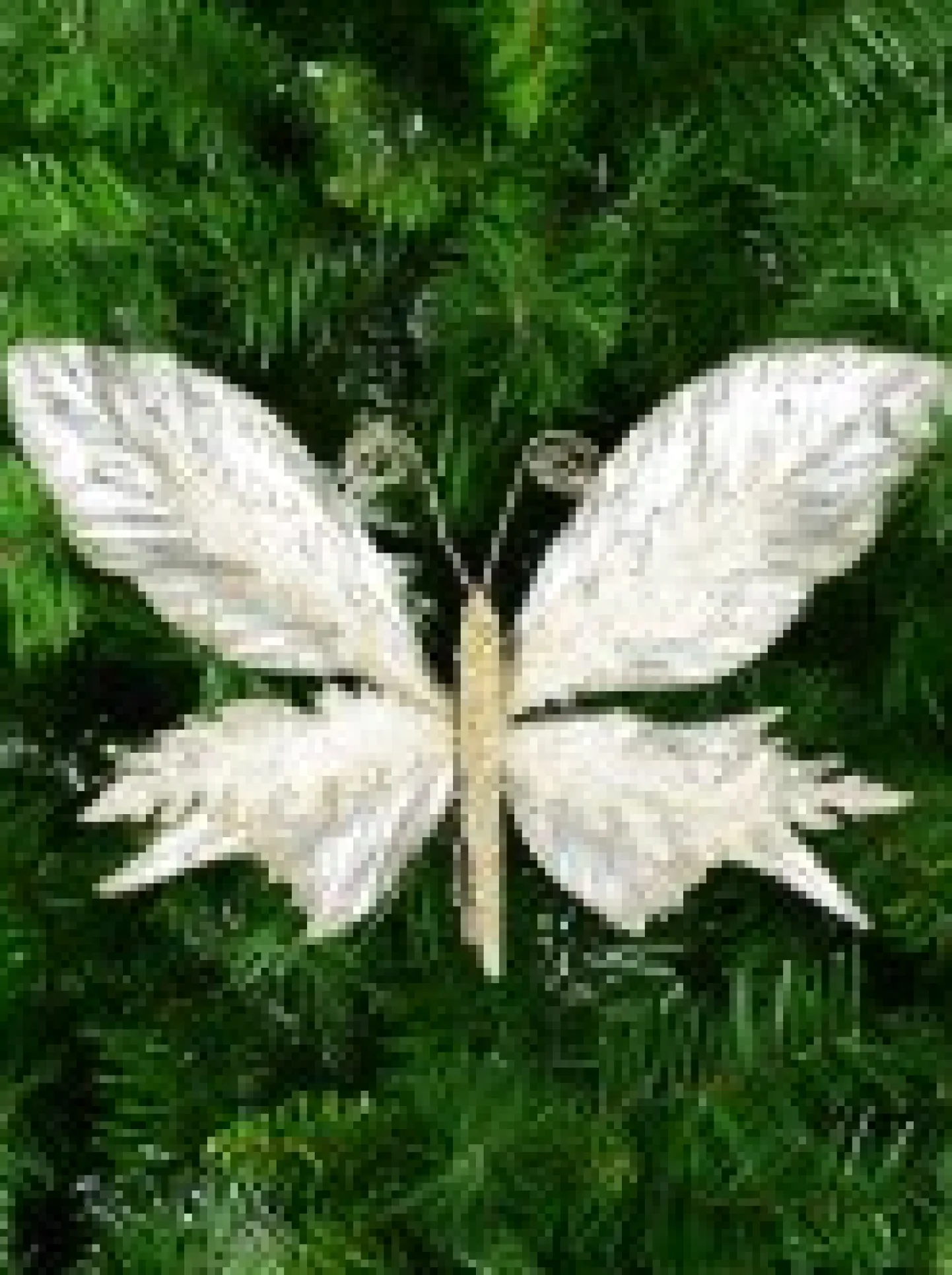 Fashion Christmas Warehouse Large Platinum Butterfly With Sheer Wings Decorative Christmas Pick - 32Cm