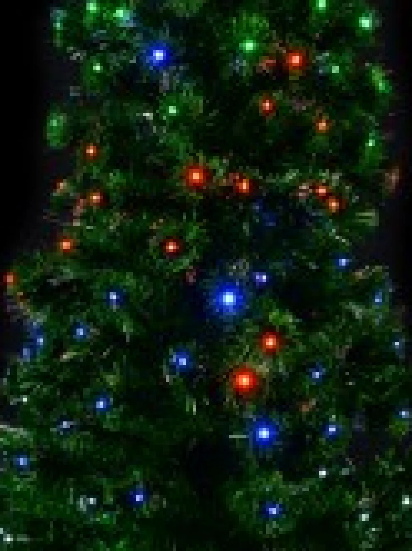 Hot Christmas Warehouse Multi Colour Led & Fibre Optic Christmas Tree With 200 Tips & Bulbs - 1.8M