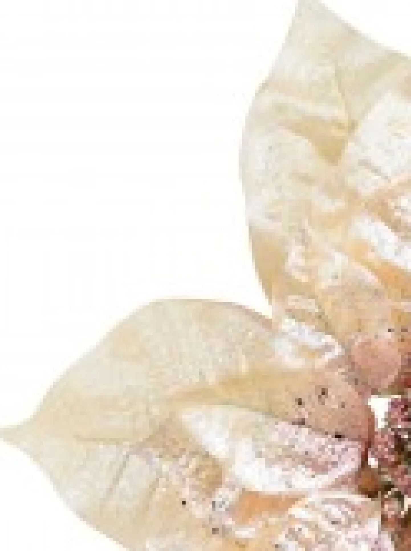 Outlet Christmas Warehouse Peach Pink With Rose Gold Poinsettia Decorative Christmas Flower Pick - 22Cm