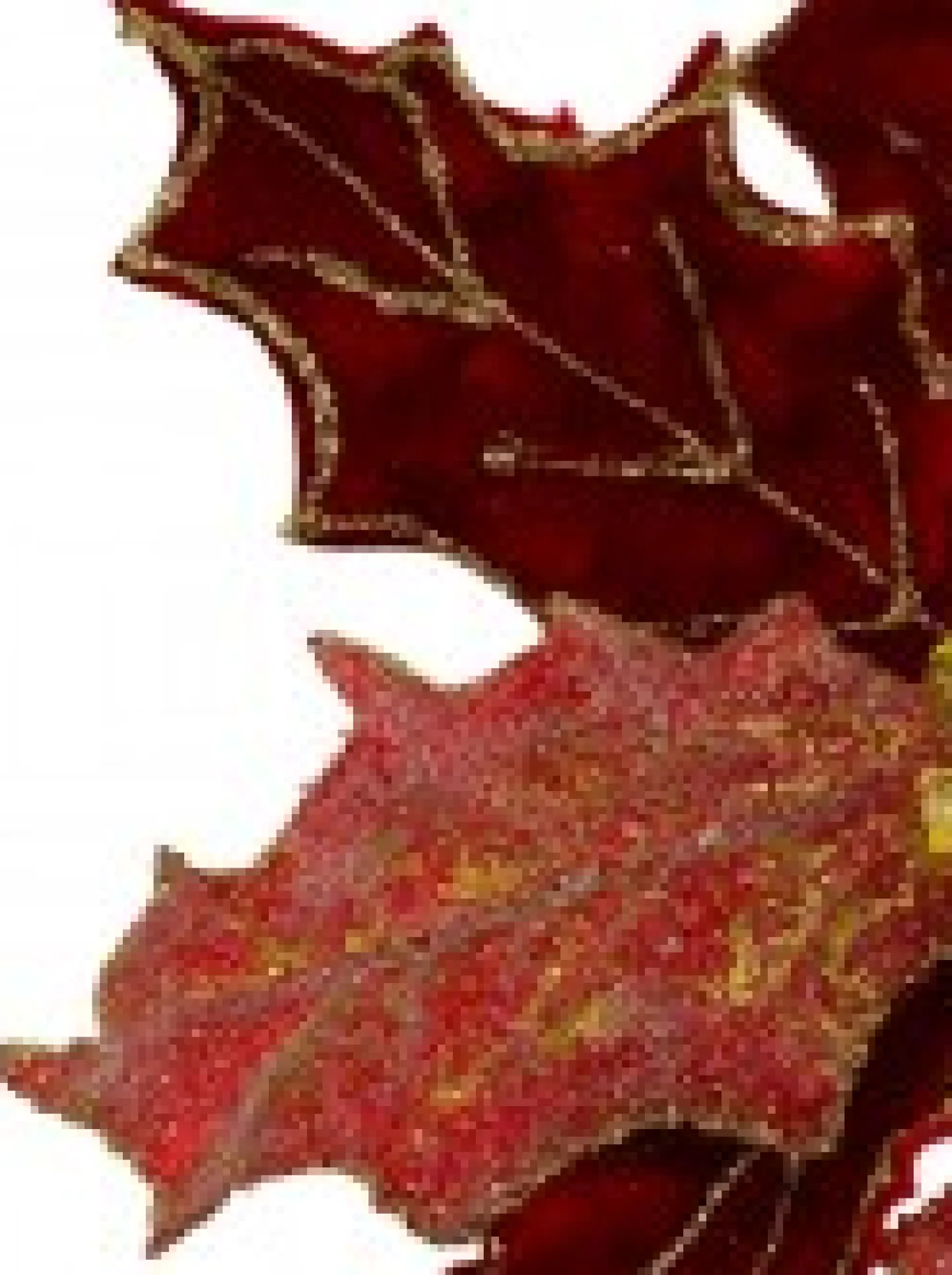 Hot Christmas Warehouse Red Glitter Felt Two Petal Style Poinsettia Christmas Flower Pick - 28Cm