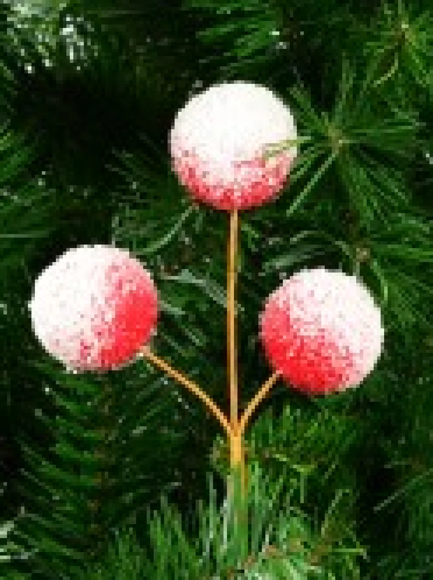 Online Christmas Warehouse Red With White Frost Pom Pom Snowballs Christmas Spray Pick - 24Cm