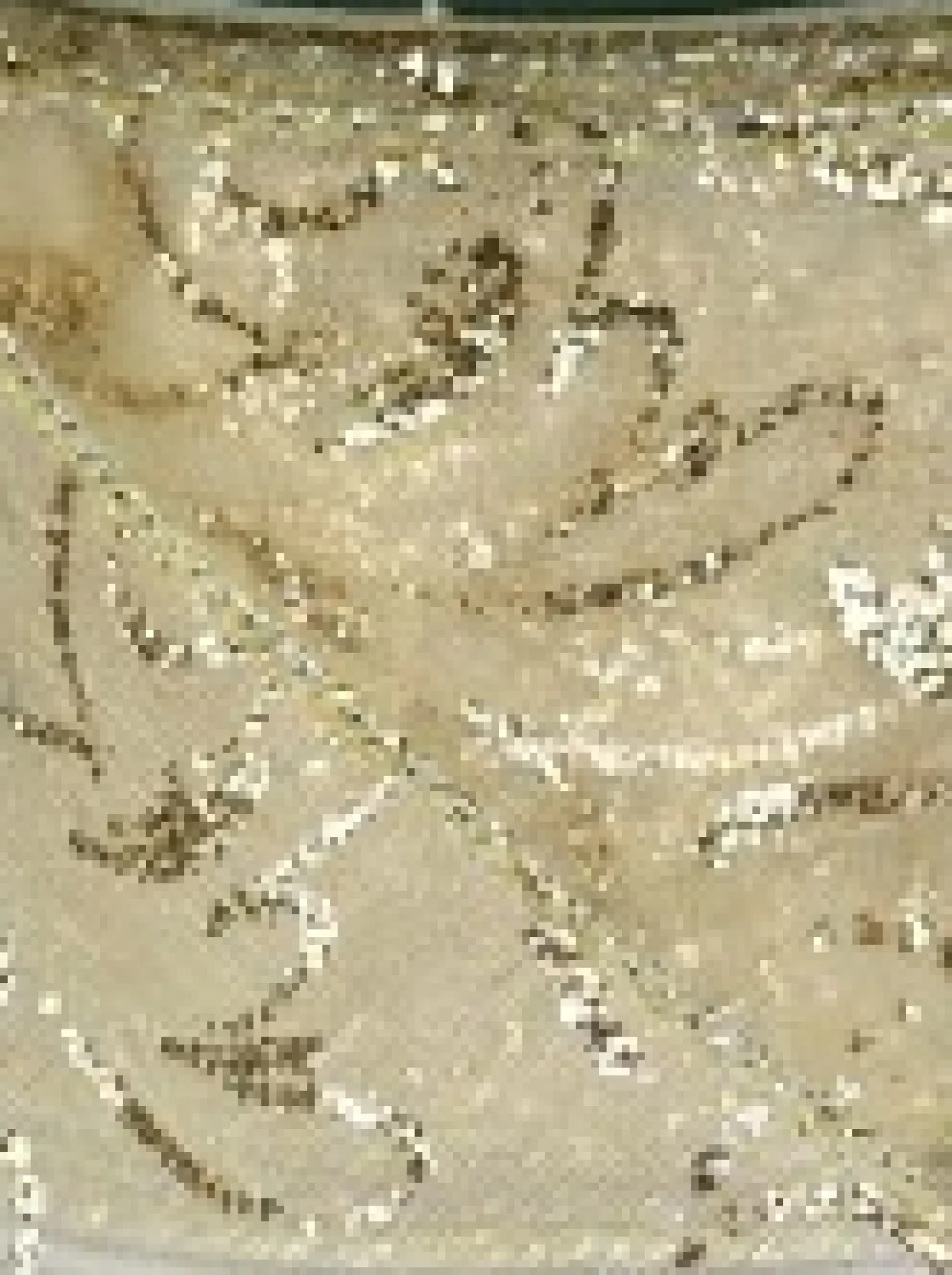 Cheap Christmas Warehouse Swirl Pattern Cream On Sheer Christmas Ribbon With Gold Glitter Edging - 3M