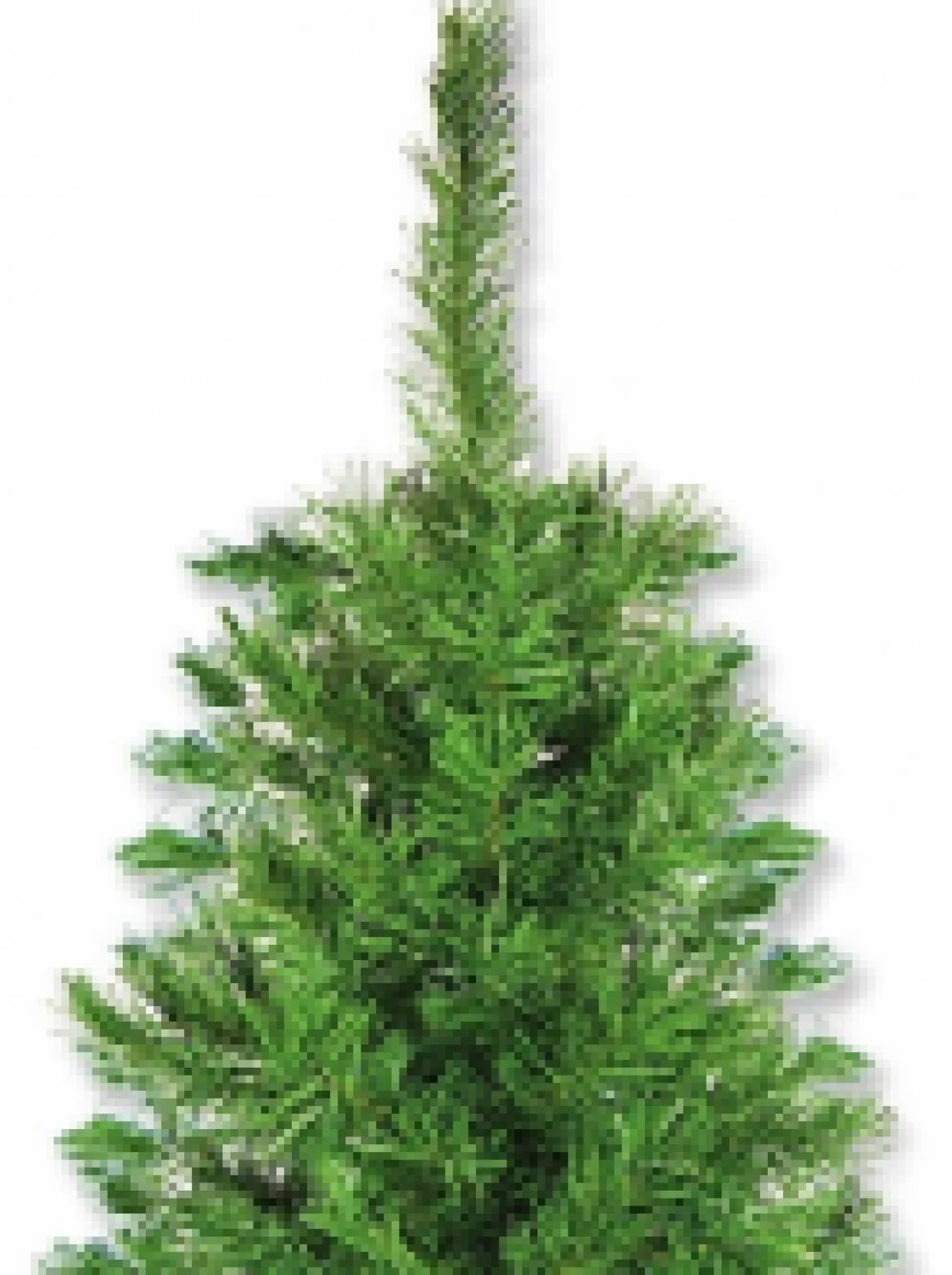 Store Christmas Warehouse Valley Pine Traditional Christmas Tree With 154 Tips - 1.2M