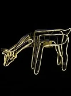 Flash Sale Christmas Warehouse Warm White Animated Grazing Reindeer Neon Christmas Light Display - 77Cm