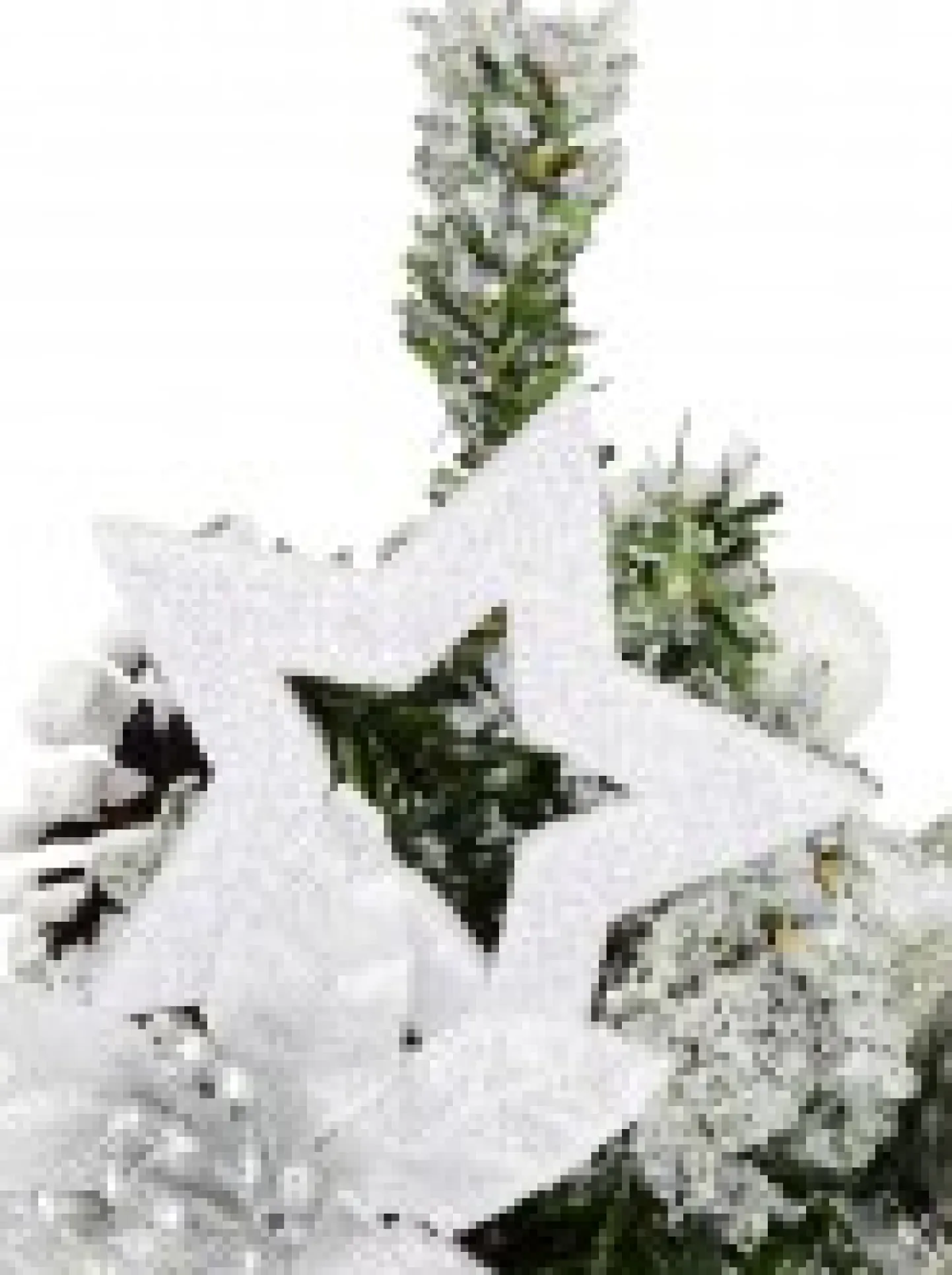 Clearance Christmas Warehouse White Poinsettia & Silver Decorations Tabletop Christmas Tree Ornament - 18Cm