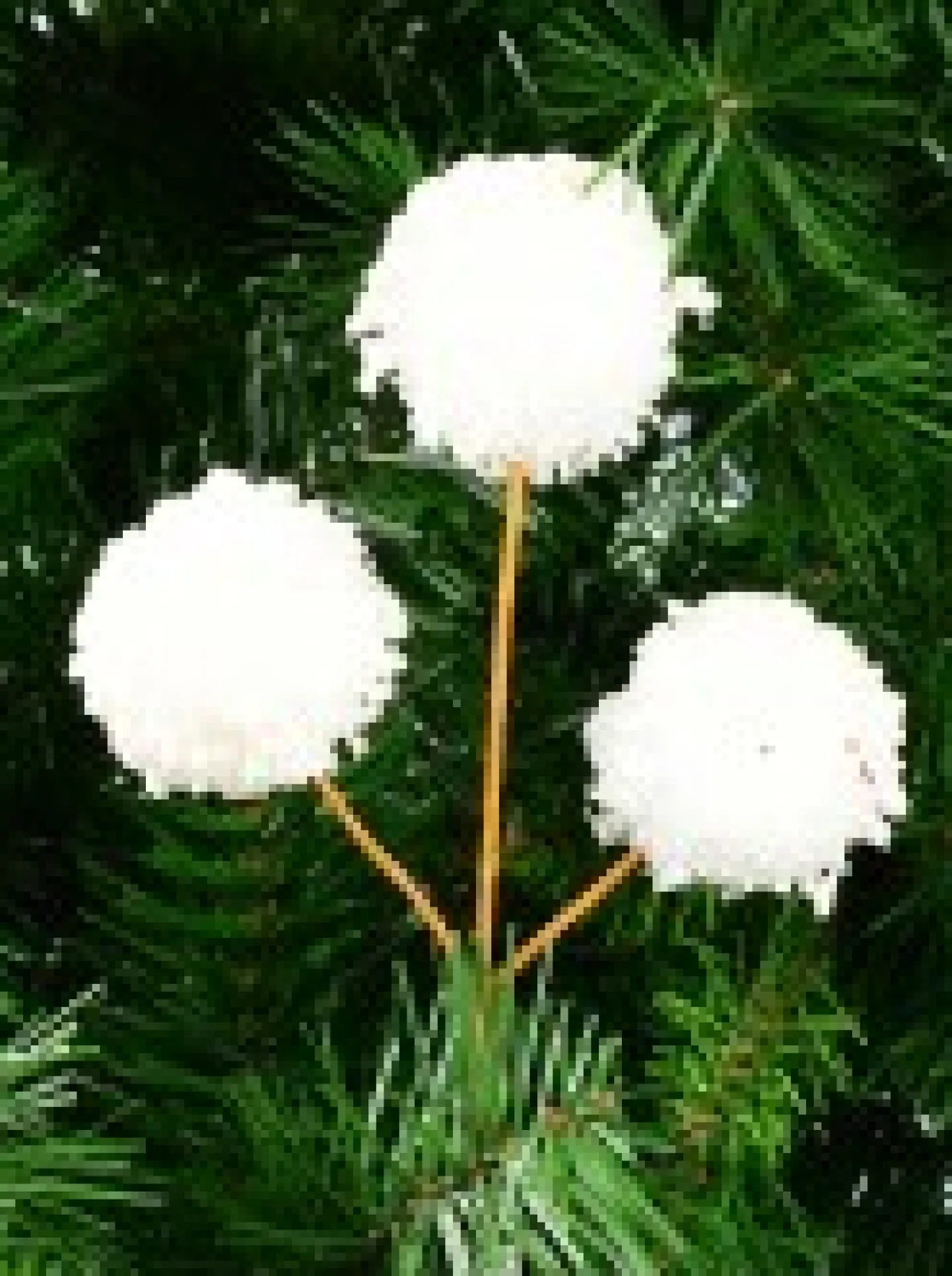 Shop Christmas Warehouse White Pom Pom Snowballs Decorative Christmas Spray Pick - 15Cm