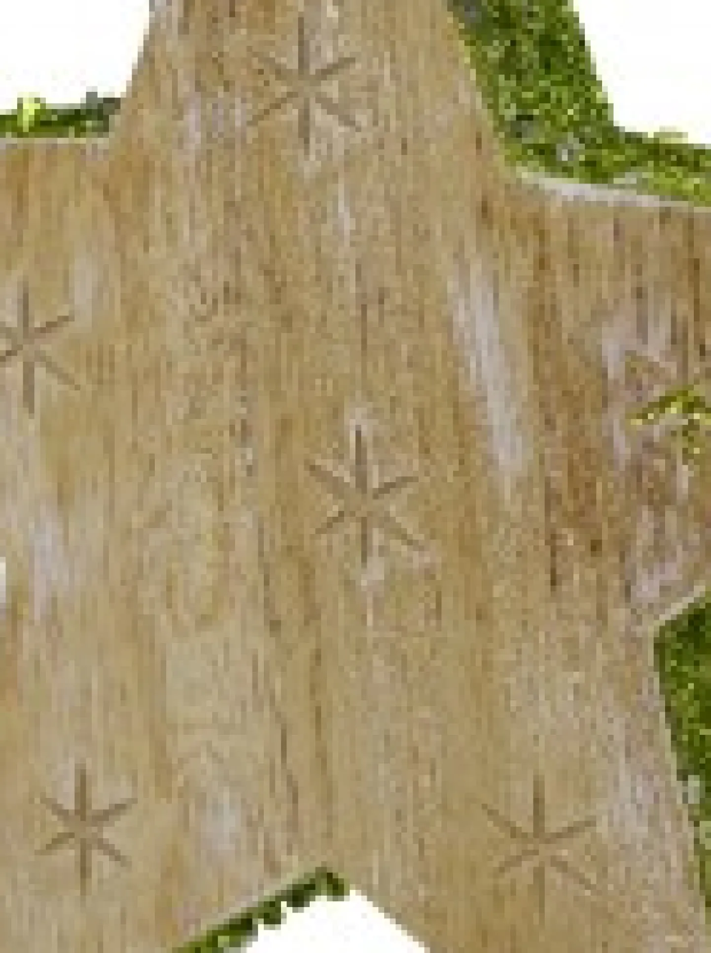 Flash Sale Christmas Warehouse Wood Star With Green Glitter Trim Christmas Tree Hanging Decoration - 12Cm